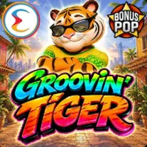 Groovin Tiger bei Vulkan Spiele spielen